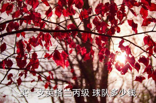 英甲哪個球隊有錢,英超聯(lián)賽是職業(yè)球隊還是業(yè)余球隊之別