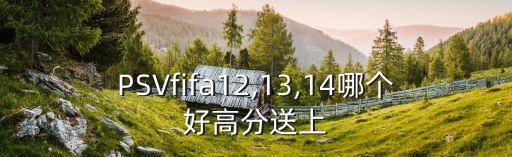 PSVfifa12,13,14哪個好高分送上