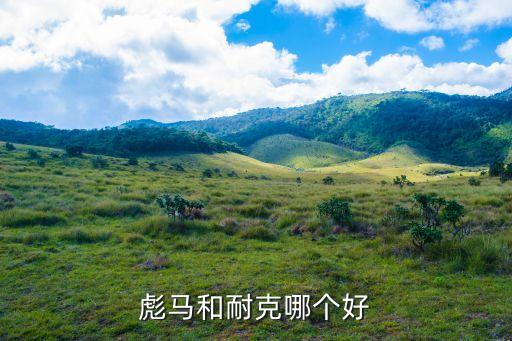 joma和nike哪個(gè)好,2020年運(yùn)動(dòng)鞋十大品牌排名出爐