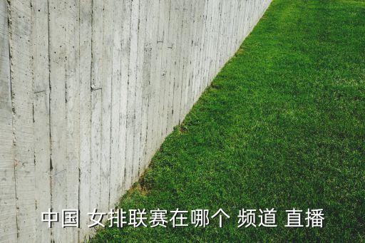 中國(guó) 女排聯(lián)賽在哪個(gè) 頻道 直播
