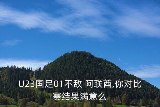 U23國足01不敵 阿聯(lián)酋,你對比賽結果滿意么