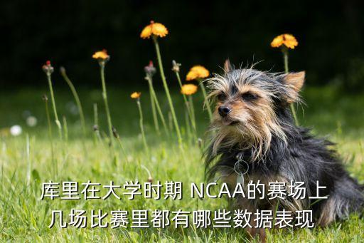 庫里NCAA哪個(gè)學(xué)校,nba球員斯蒂芬?guī)炖锶葕Z冠