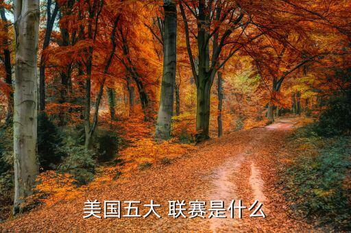美國(guó)五大 聯(lián)賽是什么