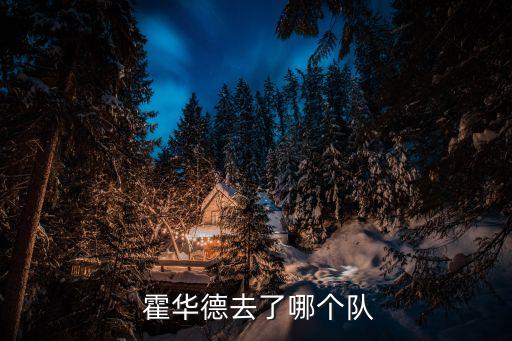  霍華德去了哪個(gè)隊(duì)