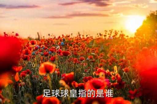 足球球皇指的是誰(shuí)