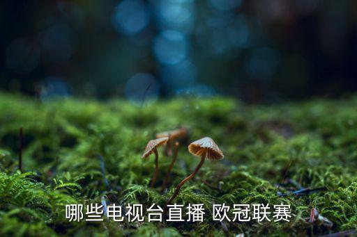 哪個(gè)平臺(tái)播歐冠,哪些電視臺(tái)全稱(chēng)直播歐冠決賽?
