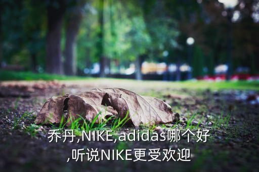 喬丹,NIKE,adidas哪個好,聽說NIKE更受歡迎