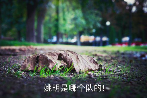  姚明是哪個(gè)隊(duì)的!
