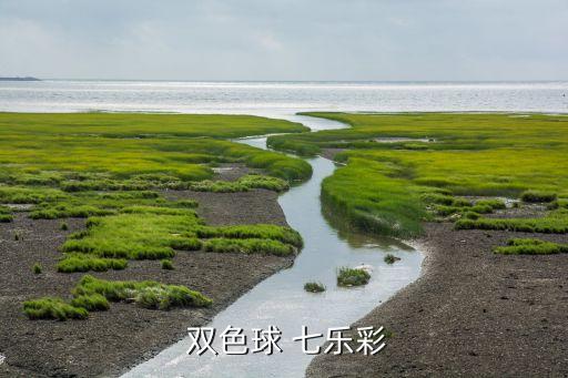 雙色球和七樂彩哪個好,投票系統(tǒng)如何運作?