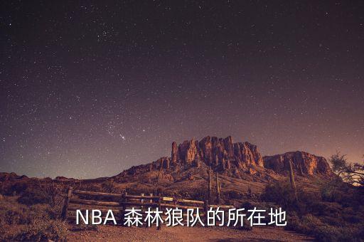 格連森林是哪個球隊,森林狼隊選擇了籃球高中生加內(nèi)特
