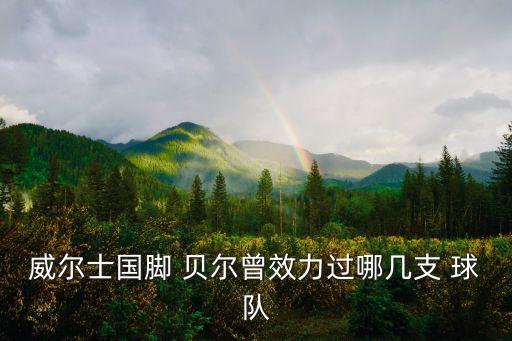 貝爾是哪個球隊的,前足球國手貝爾高中進入南安普敦青訓(xùn)營