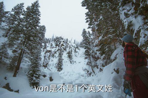 van是哪個(gè)國(guó)家的姓,武漢出現(xiàn)確診病例本地居民怎么說?