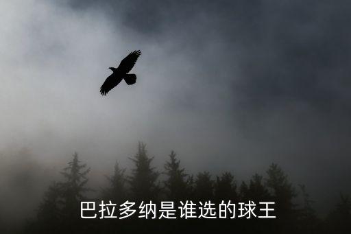 巴拉甲是哪個國家,二戰(zhàn)進攻國家:巴拉圭誰選小納當(dāng)國王
