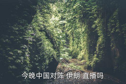 中國(guó)對(duì)伊朗哪個(gè)直播,世界杯預(yù)選賽中國(guó)男足0-1不敵伊朗隊(duì)