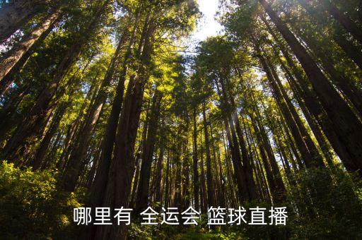 哪里有 全運會 籃球直播
