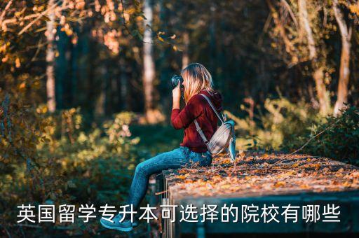 哈勒姆特哪個(gè)國家,中國批準(zhǔn)首批英國大學(xué)成立