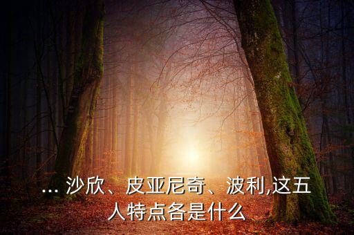 ... 沙欣、皮亞尼奇、波利,這五人特點各是什么