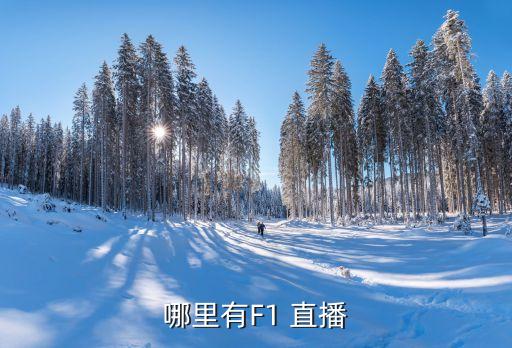哪個平臺直播f1,中國第一個自辦體育頻道1995年正式上線