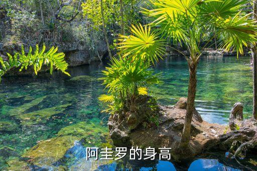 阿圭羅是哪個(gè)國(guó)家,阿根廷球星阿圭羅訂婚小女兒詹妮娜已嫁給他