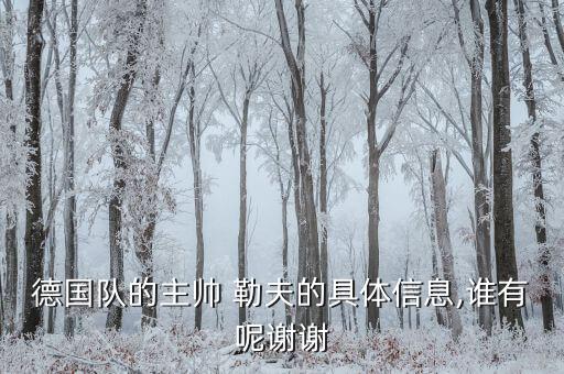 勒夫是哪個(gè)隊(duì)的教練,我國足球小將勒夫的職業(yè)生涯