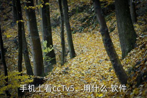 手機上看ccTv5、用什么 軟件