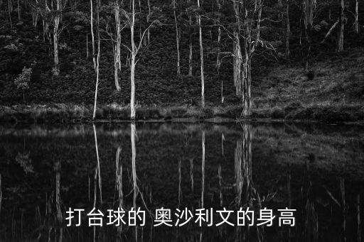 奧沙利文哪個(gè)國(guó)家,我國(guó)臺(tái)球好手沙奧利文和特魯姆普雙雙進(jìn)球
