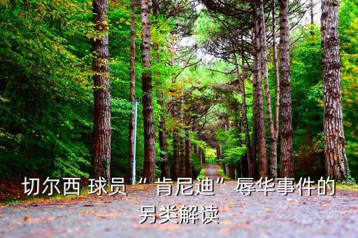肯尼迪是哪個國家球員,巴西球星肯尼迪辱罵中國引發(fā)軒然大波