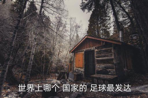  世界上哪個 國家的 足球最發(fā)達
