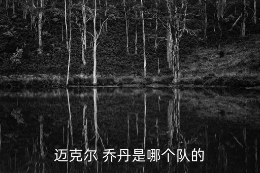 邁克爾 喬丹是哪個(gè)隊(duì)的