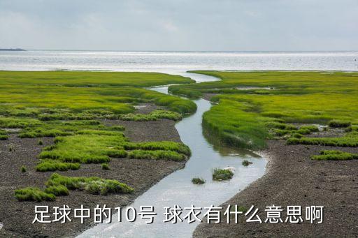 足球中的10號(hào) 球衣有什么意思啊