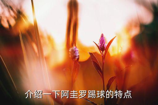 介紹一下阿圭羅踢球的特點