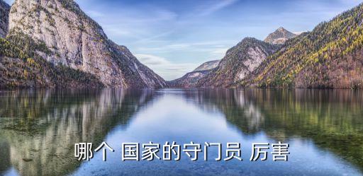 哪個(gè) 國(guó)家的守門員 厲害