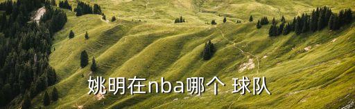  姚明在nba哪個(gè) 球隊(duì)