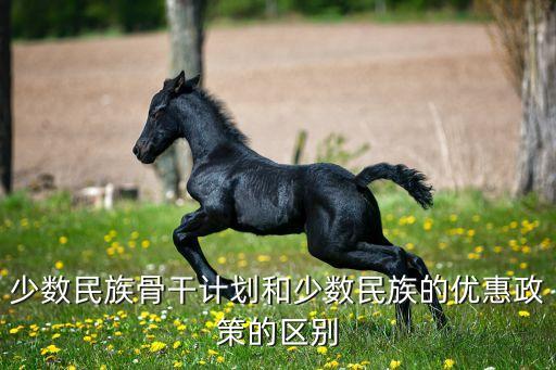 少數(shù)民族骨干計(jì)劃和少數(shù)民族的優(yōu)惠政策的區(qū)別