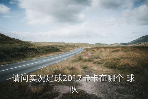 請(qǐng)問實(shí)況足球2017卡卡在哪個(gè) 球隊(duì)