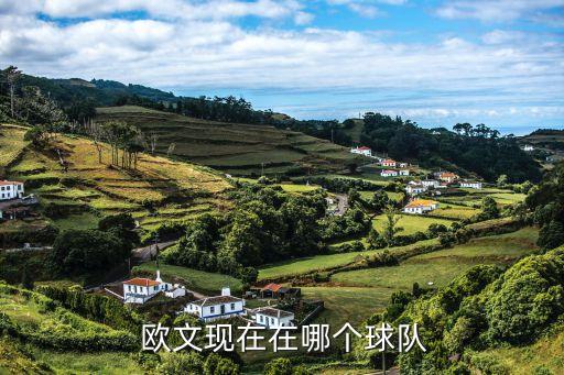  歐文現(xiàn)在在哪個(gè)球隊(duì)