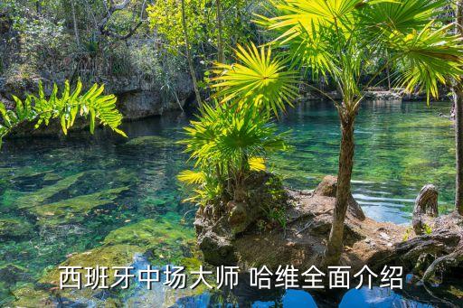 哈維去過(guò)哪個(gè)球隊(duì),哈維進(jìn)球隱蔽射門不是重頭戲但絕殺皇馬絕殺
