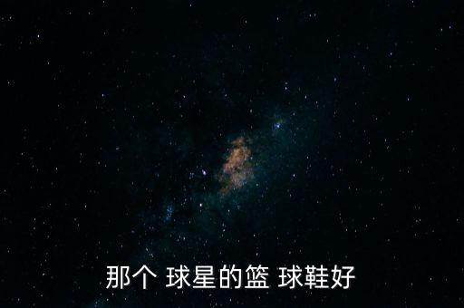 那個(gè) 球星的籃 球鞋好