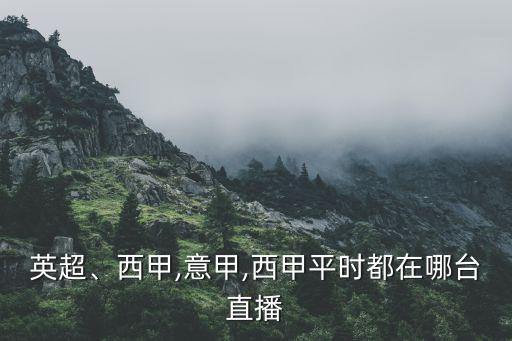 哪個(gè)衛(wèi)視播法甲,武漢和中國多家電視臺(tái)轉(zhuǎn)播國內(nèi)外熱門球賽