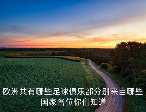 歐洲共有哪些足球俱樂部分別來(lái)自哪些 國(guó)家各位你們知道