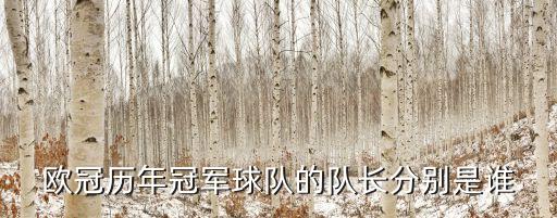 歐冠歷年冠軍球隊(duì)的隊(duì)長(zhǎng)分別是誰
