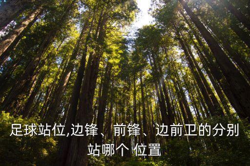 足球站位,邊鋒、前鋒、邊前衛(wèi)的分別站哪個(gè) 位置