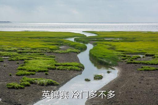 哪個(gè)小聯(lián)賽冷門多,意甲聯(lián)賽:中國前五聯(lián)賽冷門最少聯(lián)賽