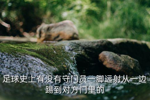 足球史上有沒有守門員一腳遠(yuǎn)射從一邊踢到對方門里的