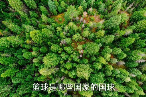  籃球是哪些國(guó)家的國(guó)球