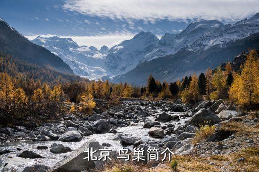 2015鳥巢足球,鳥巢足球場地標準尺寸