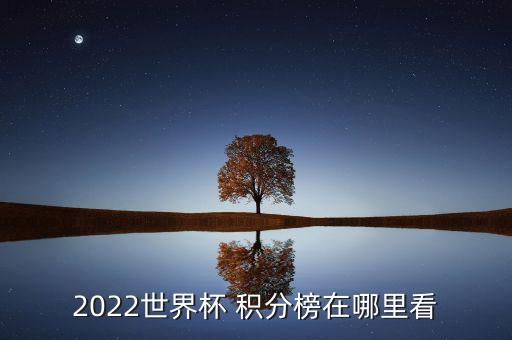 足球杯球隊(duì)積分榜,歐協(xié)杯最新比分及積分榜足球