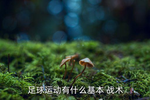 足球運(yùn)動(dòng)有什么基本 戰(zhàn)術(shù)