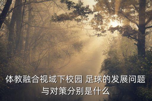 體教融合視域下校園 足球的發(fā)展問題與對(duì)策分別是什么
