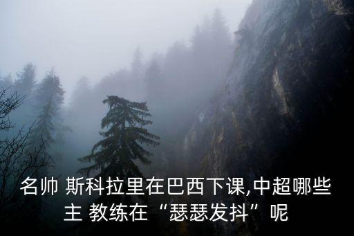 名帥 斯科拉里在巴西下課,中超哪些主 教練在“瑟瑟發(fā)抖”呢